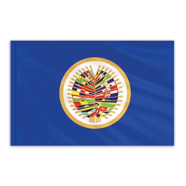 Global Flags Unlimited OAS Indoor Nylon Flag 3'x5' 202612 Zoro